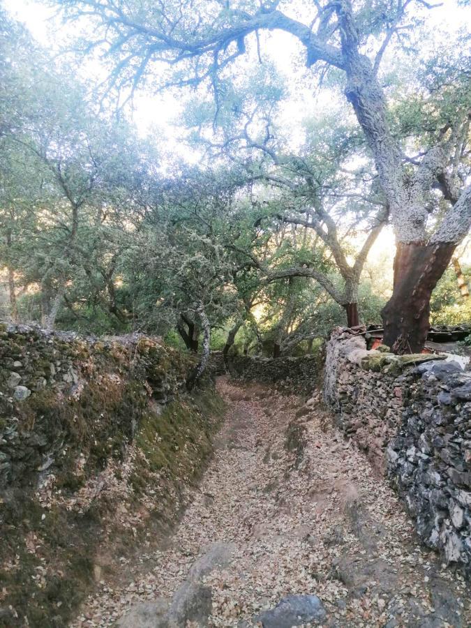 Casa Rural El Olivo اراسنا المظهر الخارجي الصورة