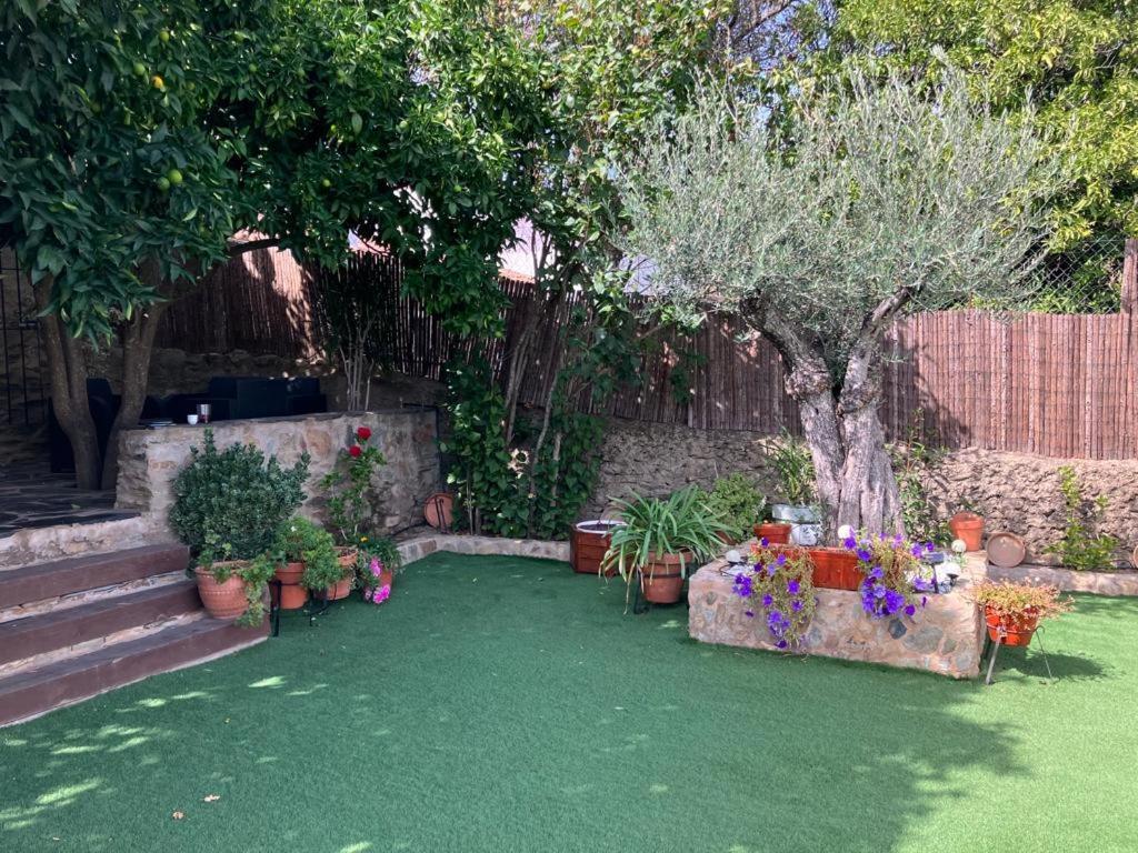 Casa Rural El Olivo اراسنا المظهر الخارجي الصورة