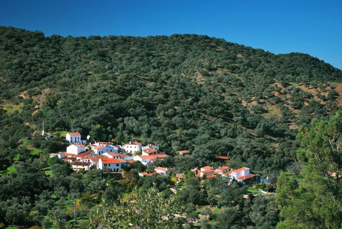 Casa Rural El Olivo اراسنا المظهر الخارجي الصورة